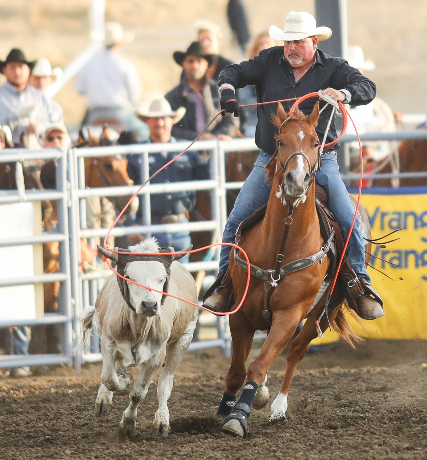 060119 Elks Rodeo Saturday 03.jpg